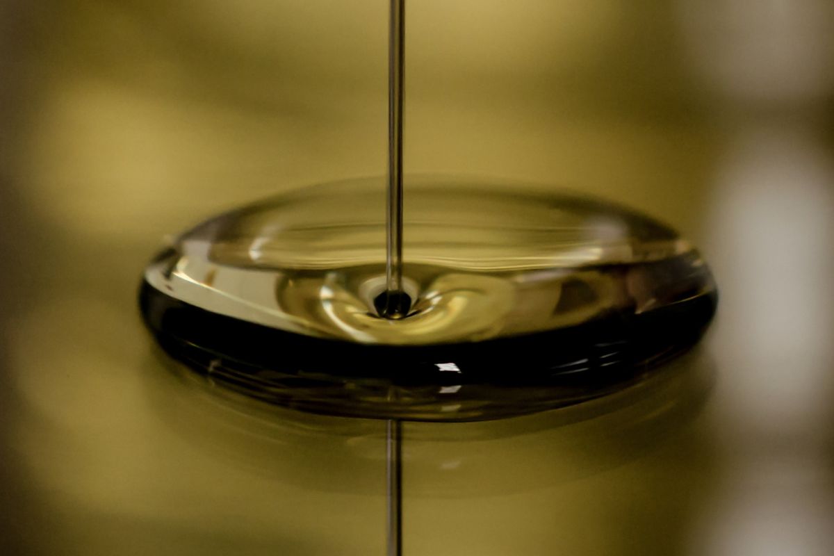 Olio Monovarietale: il Gusto Unico di una Singola Varietà di Olive