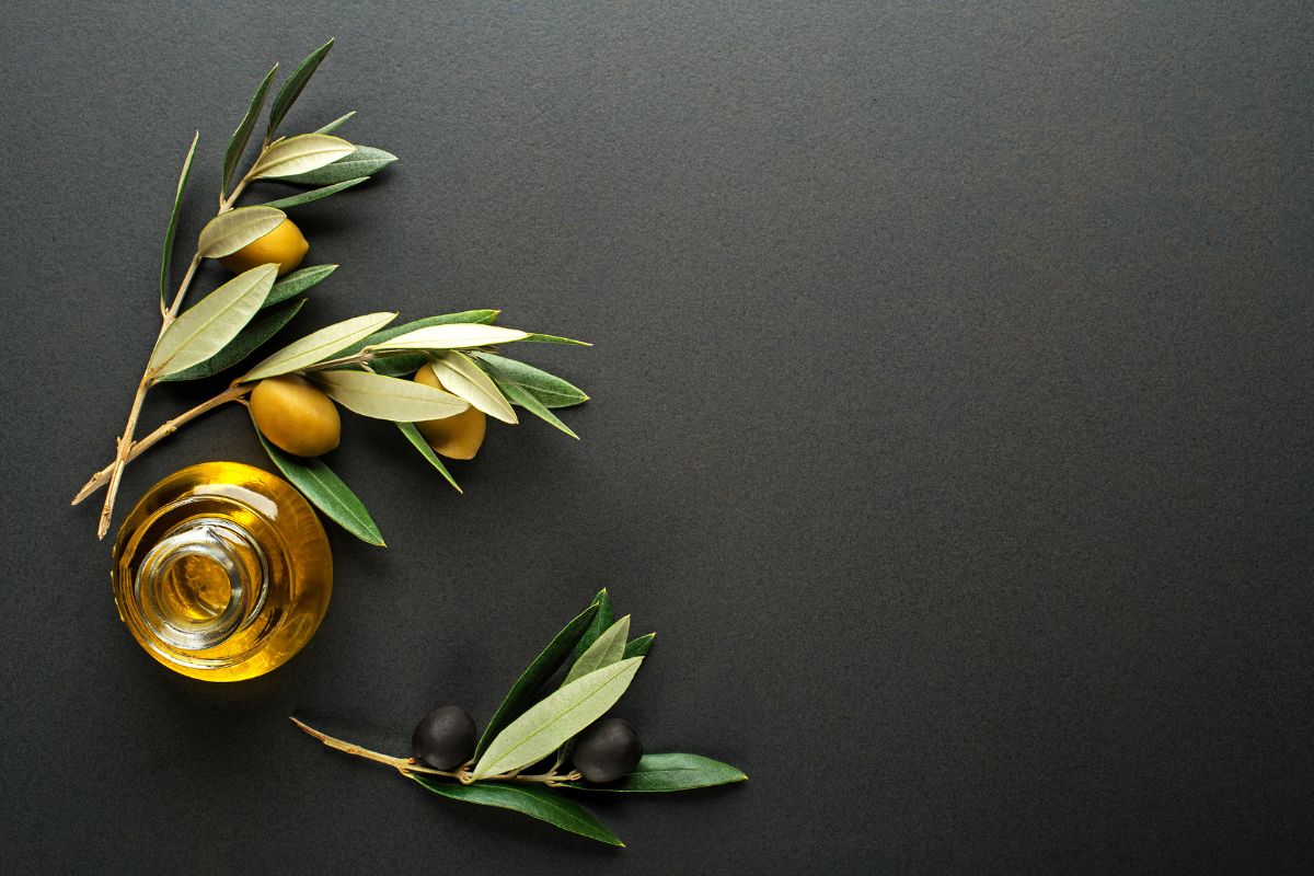 La Molitura delle Olive: Dal Raccolto alla Tavola